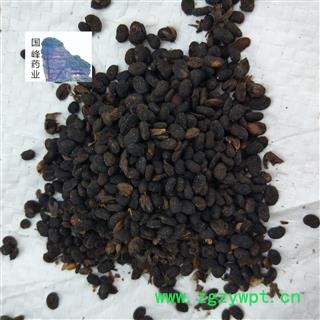 补骨脂 补骨脂饱满统货 干度好 国峰药业 重在品质 产地 云南省图2