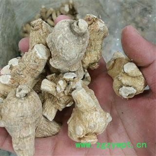 西洋参 加拿大进口 15克左右/支 产地 海外图2