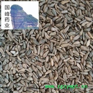 牛蒡子 牛子 大力子 牛大力 选货 国峰药业 重在品质  产地 四川省图2