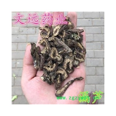 漏芦 大统 产地 河南省