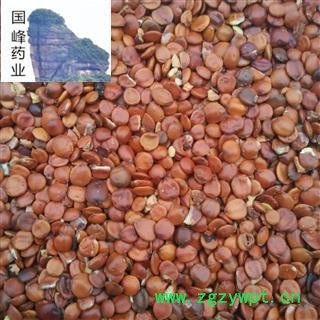 酸枣仁 颜色好 无硫磺 选货足干 无虫蛀 国峰药业 重在品质 产地 海外图2