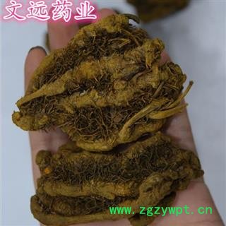 黄连 鸡爪黄连上等统货 产地 四川省成都市市辖区图4