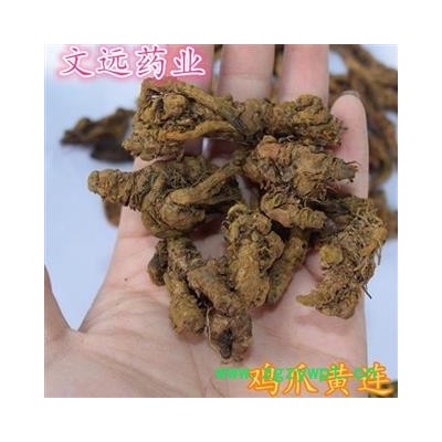 黄连 鸡爪黄连上等统货 产地 四川省成都市市辖区