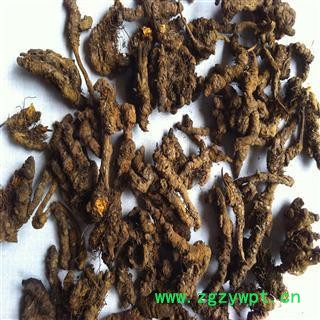 黄连 鸡爪黄连上等统货 产地 四川省成都市市辖区图2