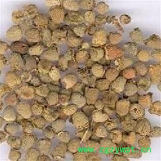 覆盆子 四川覆盆子选货 产地 四川省图3