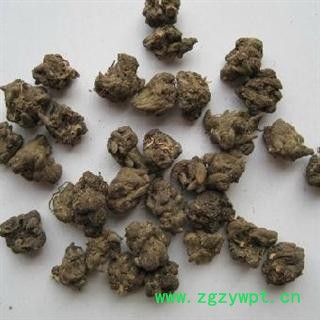 猫爪草 精选 选装 猫爪草 猫抓草 小毛茛 产地 河南省南阳市市辖区图2