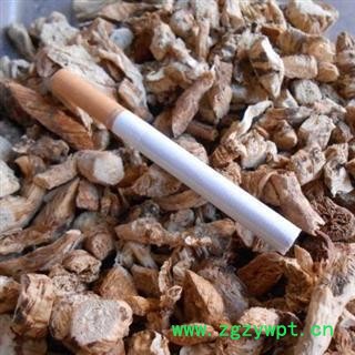 南沙参 统装 纯净货 产地 甘肃省图2