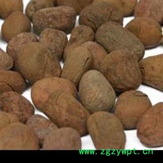 大风子 大风子统货 假一赔十 产地 广西壮族自治区图2