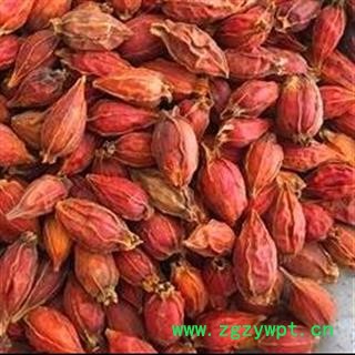 栀子 福建栀子 今年新货 颜色红 无虫蛀无霉变 主流统货 假一赔十 产地 福建省图2