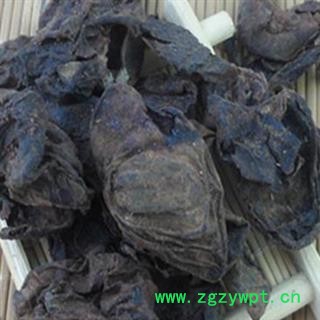 乌梅 选乌梅肉  质量好  产地 四川省图2