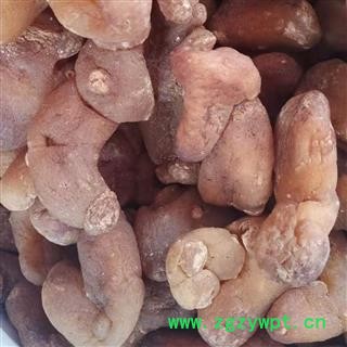 黄精 姜形黄精选货 产地 云南省图2