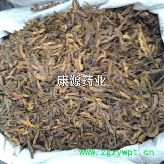 黄连 切片 产地 四川省攀枝花市图3