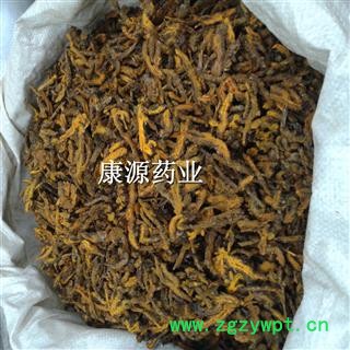 黄连 切片 产地 四川省攀枝花市图4