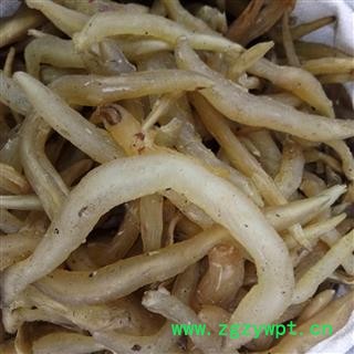 天冬 野生天冬 含量过药典标准  大选个 产地 贵州省