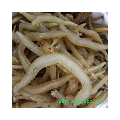 天冬 野生天冬 含量过药典标准  大选个 产地 贵州省