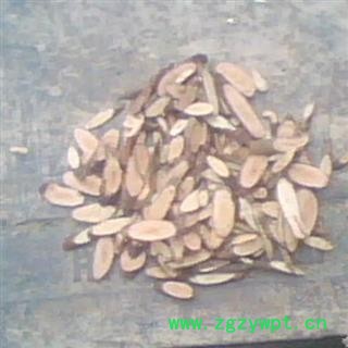 两面针 枝片 产地 四川省图2