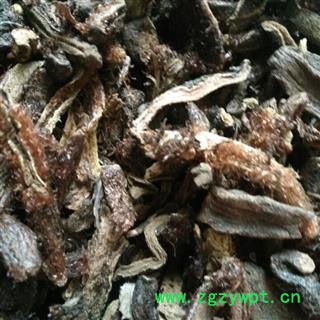 骨碎补 正品骨碎补 产地 贵州省图2