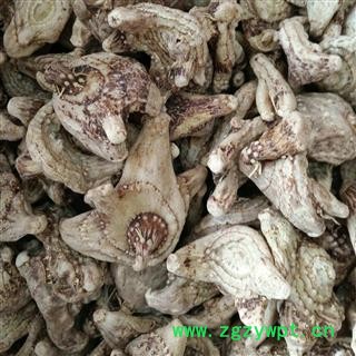 白芨 野生白芨 选个 无硫磺  产地 贵州省黔西南布依族苗族自治州图3