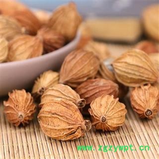 香砂仁 秦岭金沙仁 川砂仁 日晒无硫 500g图2