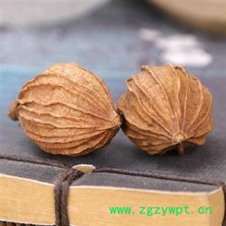 香砂仁 秦岭金沙仁 川砂仁 日晒无硫 500g图3