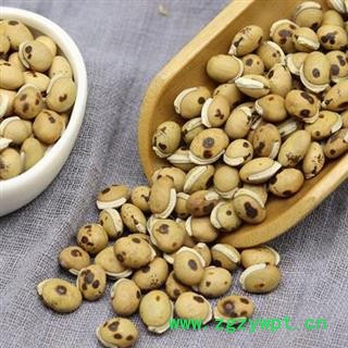 炒白扁豆 秦岭农家特级药扁豆 炒扁豆手工分拣 日晒500g 另有生扁豆图3