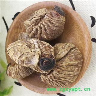 豆虫 秦岭优质干品芝麻虫 豆天蛾 豆丹500g图3