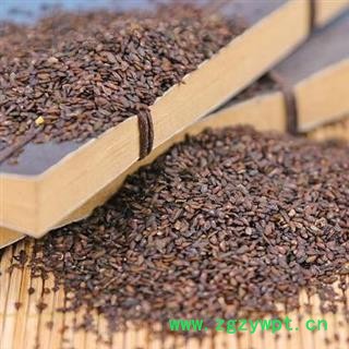 【批发价】秦岭野生车前子山民自捋日晒无硫1000g图3