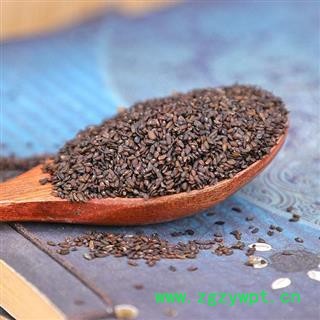 【批发价】秦岭野生车前子山民自捋日晒无硫1000g图4