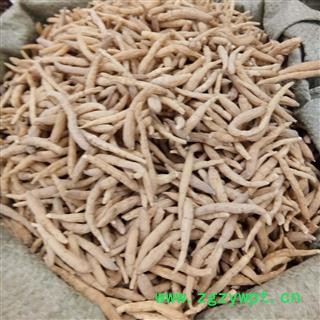 太子参 太子参无硫磺小统 产地 福建省图2