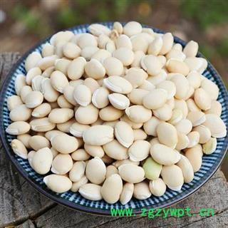 生白扁豆 秦岭野生 炒扁豆 山民自采自剥 日晒无硫500g【打折已结束】图3