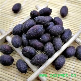 蒲葵子 秦岭优质葵树子 蒲扇子 日晒500g图2