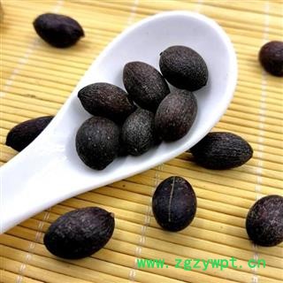 蒲葵子 秦岭优质葵树子 蒲扇子 日晒500g图3