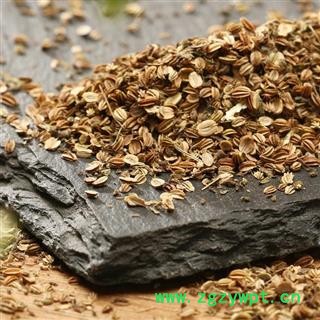 【买10送1】蛇床子 山民自捋 过筛无杂日晒【打折已结束】图2