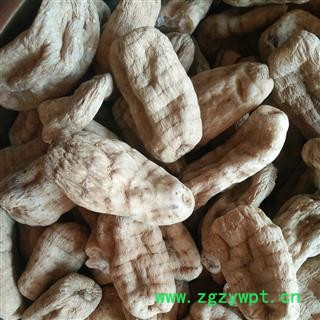 天麻 纯野生冬麻大个 产地 云南省昭通市图2