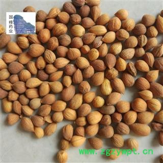 郁李仁 郁李仁选货 颜色好 全干 无虫蛀 国峰药业 重在品质 山梅子 小李仁 郁子 郁里仁 李仁肉  产地 山西省图2