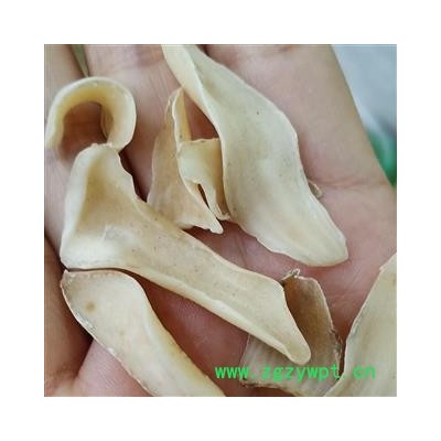 百合 龙牙百合选货 产地 湖南省