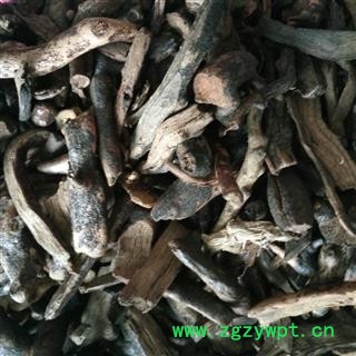 骨碎补 骨碎补统个  光骨碎补  产地 四川省图2