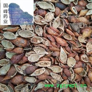 金樱子 金樱子肉 好选 去仔 颜色好 无硫磺 无虫蛀 国峰药业 重在品质 产地 江西省图2