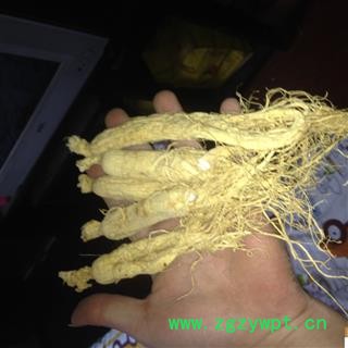 人参 生晒参35支 产地 吉林省吉林市市辖区图2