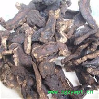 生地黄 统 产地 河南省图2