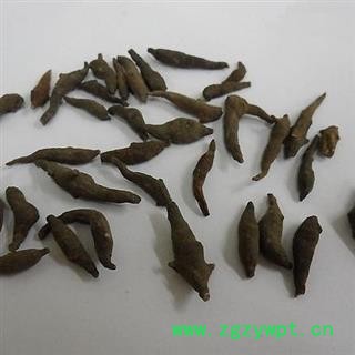 两头尖 统货 产地 黑龙江省图2