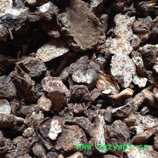 苍术 内蒙野生苍术 朱砂点苍术 0.2筛子以上统货 产地 内蒙古自治区图2