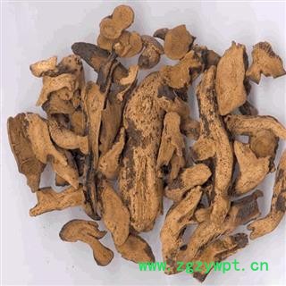 娟子中药批发  骨碎补  肉碎补 石岩姜   申姜 元姜 猴姜 毛姜 统货 产地 江西省新余市分宜县图3