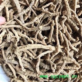 远志 远志 抽芯率99%  产地 山西省 买好药找娟子图2