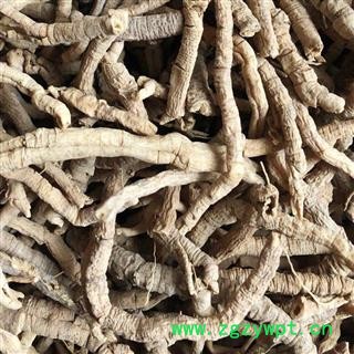 远志 远志 抽芯率99%  产地 山西省 买好药找娟子图3