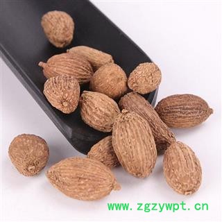 秦岭优质砂仁 壳砂仁 香砂仁 果仁均匀 手挑日晒干净500g图2