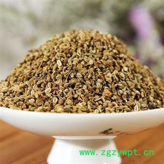 【新货】秦岭天然蛇床子 野萝卜籽 山民自捋 过筛无杂日晒500g图2