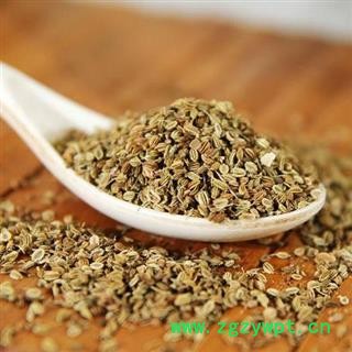 【新货】秦岭天然蛇床子 野萝卜籽 山民自捋 过筛无杂日晒500g图3