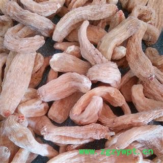 天麻 红嘴天麻特级个 产地 湖北省图2