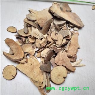 天台乌药 统货 产地 浙江省图2